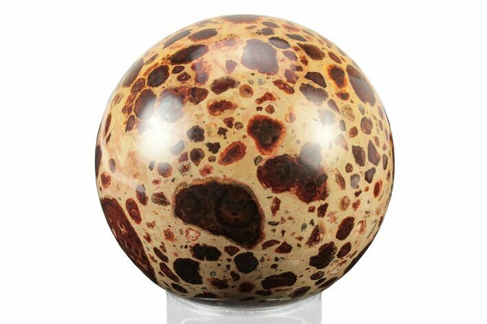 Polished Bauxite (Aluminum Ore) Sphere - Russia #243520